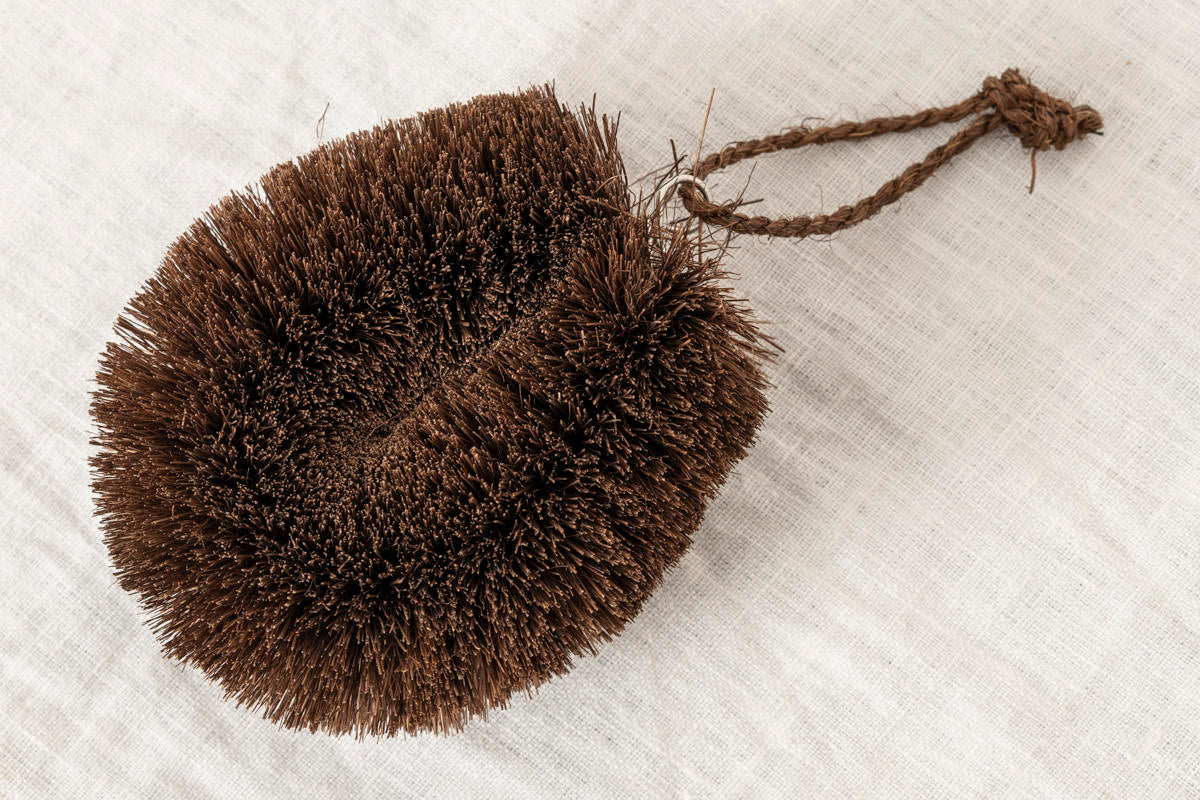 Tawashi Brush / Shuro Palm / Wakayama-JPN 250820
