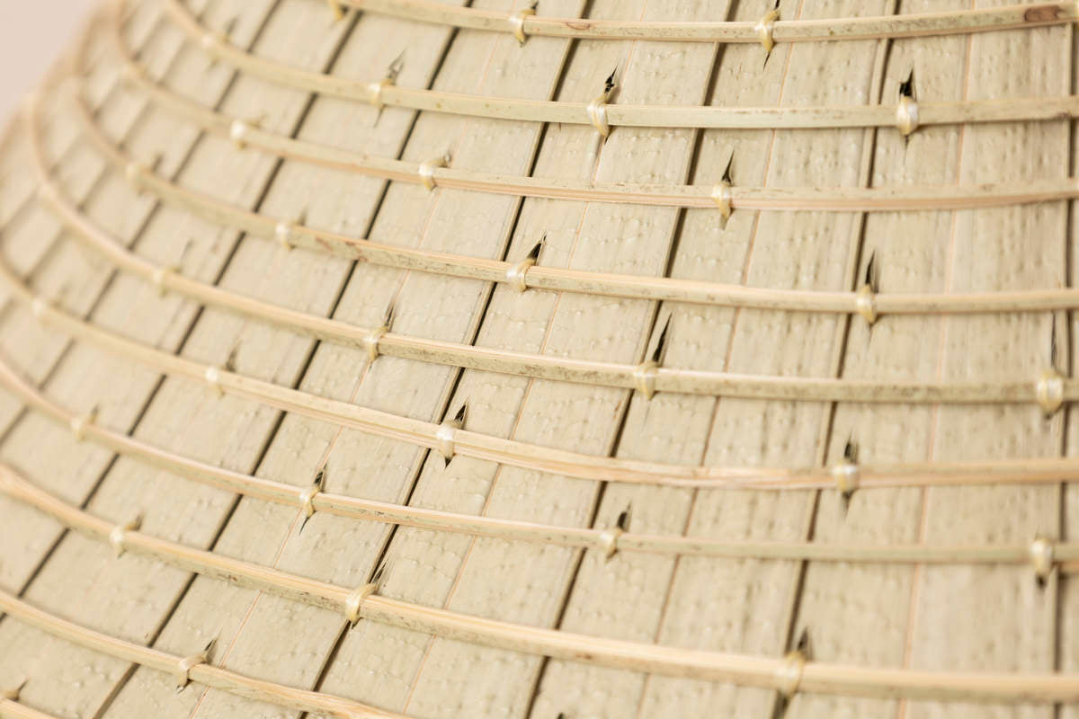 Kuba Hat / Fan Palm / Ishigaki, Okinawa-JPN 151201
