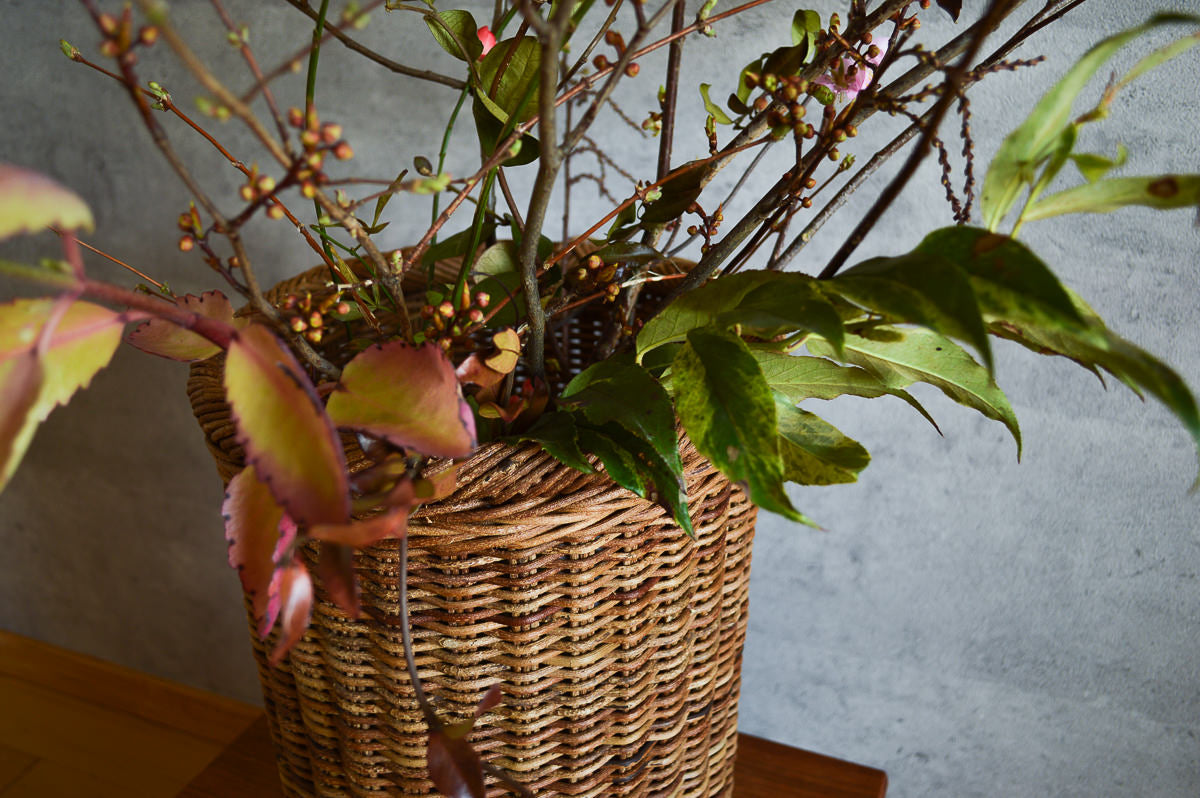 Cylindrical Basket – Nami Weave / Akebi Vine / Nagano-JPN 311234-1