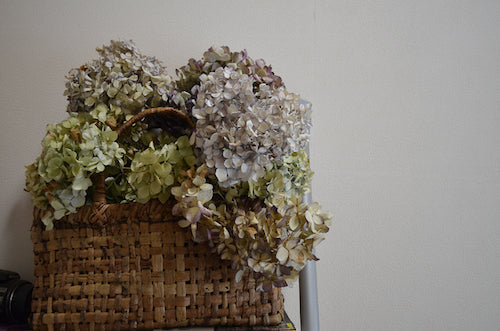 Walnut bark (sawagurumi) basket filled with dried hydrangea flowers on a shelf / 棚の上に置かれた、ドライアジサイを入れたさわぐるみ樹皮のかご