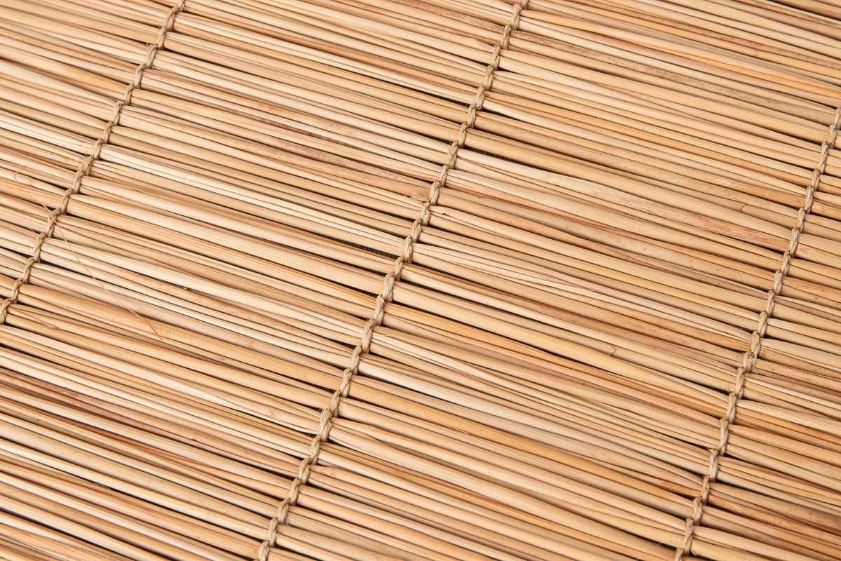 Placemat / Shell Ginger / Taketomi, Okinawa-JPN 230603-1