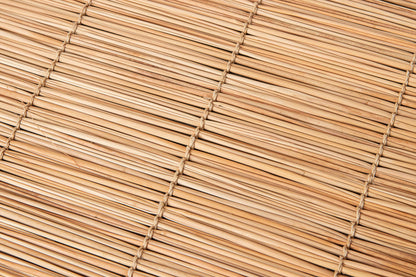 Placemat / Shell Ginger / Taketomi, Okinawa-JPN 230603-1