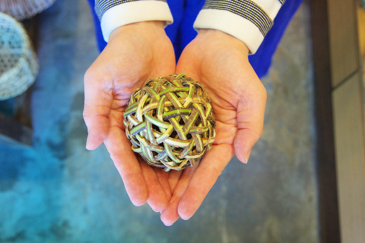 Silver vine ball held in hands / またたびボールを両手にのせて持っている様子