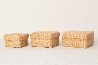 Compact Square Box with Lid / Water Hyacinth / THA 3115211