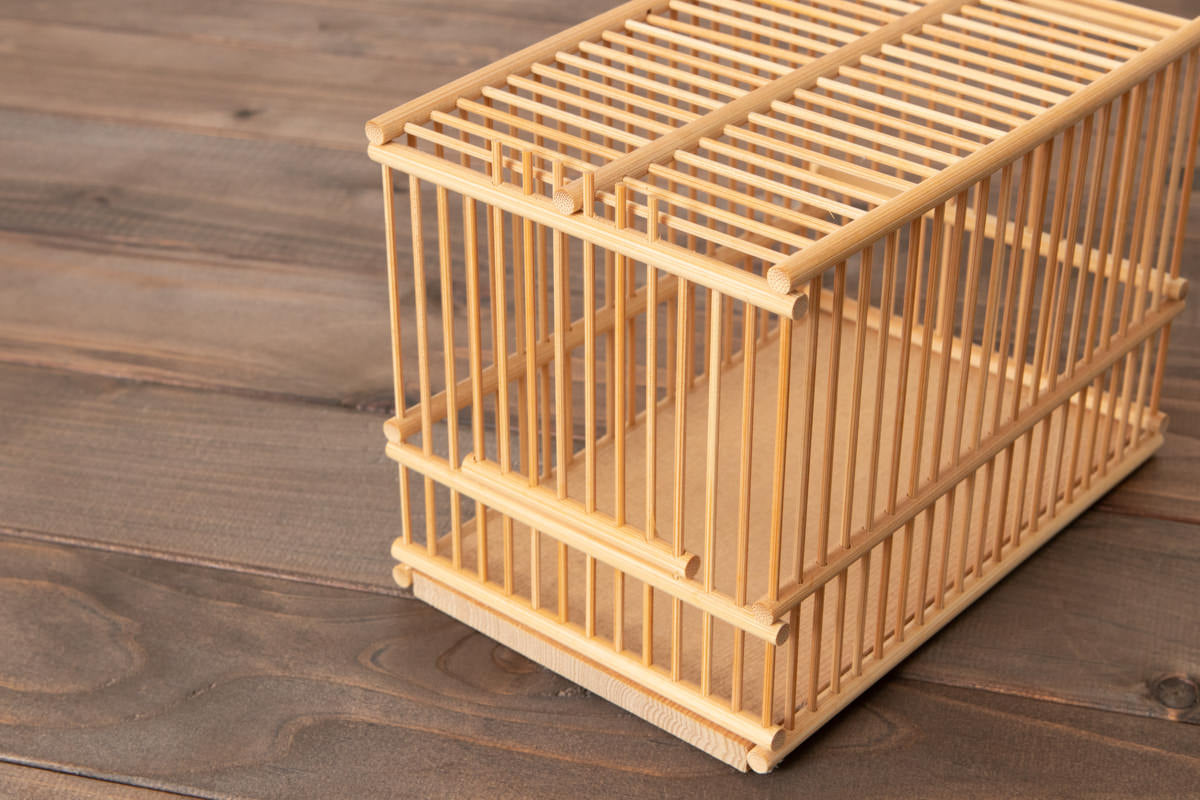 Insect Cage Kit / Moso bamboo / Hyogo-JPN 220401-1
