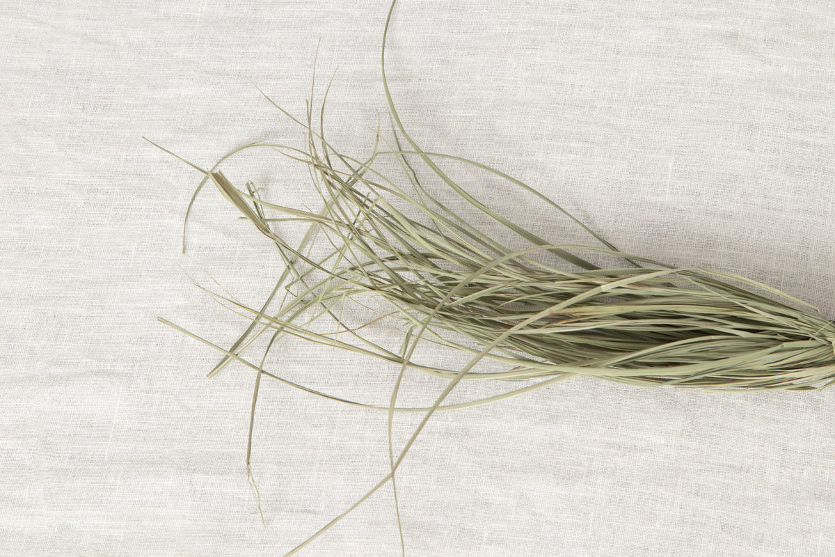 [Pre-order]Shimekazari "Gobō" / Rice straw / Tokyo-JPN 250921