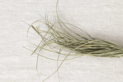 [Pre-order]Shimekazari "Gobō" / Rice straw / Tokyo-JPN 250921