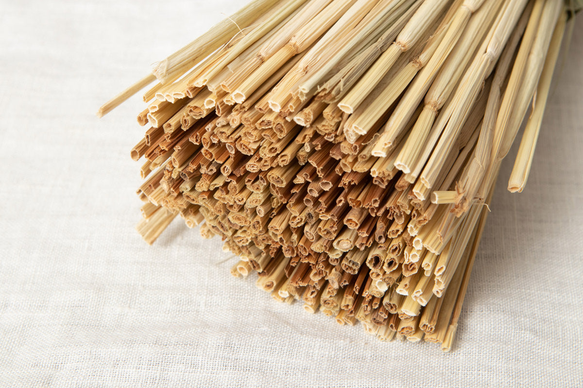 [Pre-order]Shimekazari "Gobō" / Rice straw / Tokyo-JPN 250921