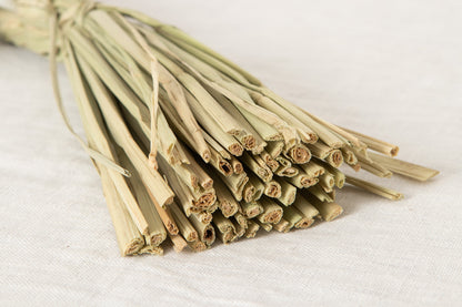 【ご予約販売】東京都/稲わら　しめかざり　荒神  -こうじん- （紙垂小付き）　250924-1