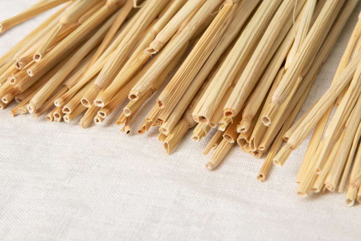 [Pre-order]Shimekazari “Tama” XS,S,M,L,XL 5sizes / Rice straw / Tokyo-JPN 250922