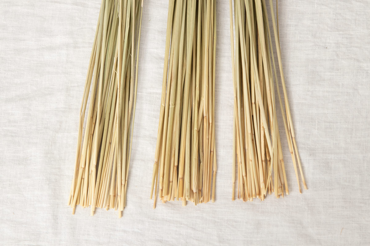 [Pre-order]Shimekazari “Tama” XS,S,M,L,XL 5sizes / Rice straw / Tokyo-JPN 250922