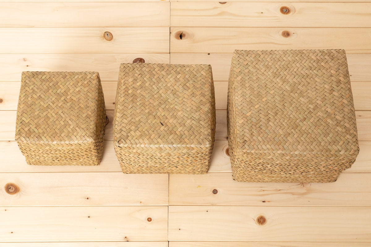 Compact Organizing Basket with Lid "Cube" / Krajood Grass / THA 3115128