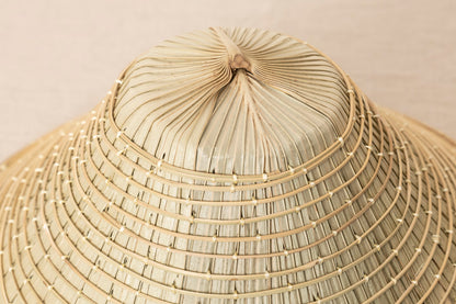 Kuba Hat / Fan Palm / Ishigaki, Okinawa-JPN 151201