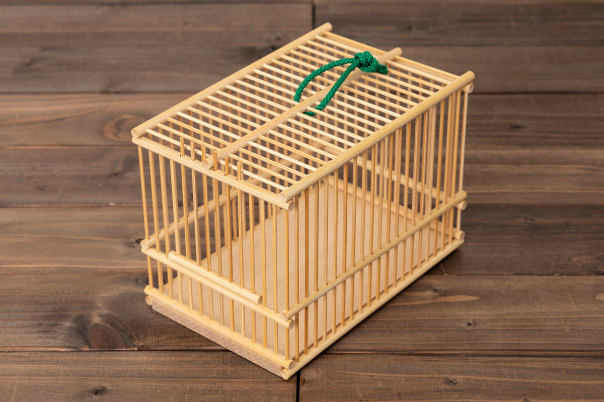 Moso bamboo insect cage / 孟宗竹の虫かご