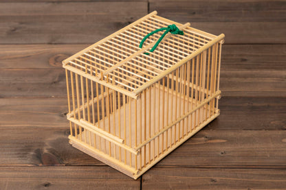 Moso bamboo insect cage / 孟宗竹の虫かご