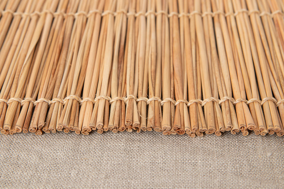 Placemat / Shell Ginger / Taketomi, Okinawa-JPN 230603-1