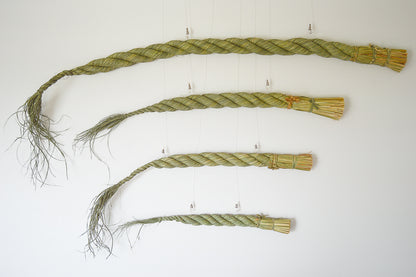[Pre-order]Shimekazari "Gobō" / Rice straw / Tokyo-JPN 250921