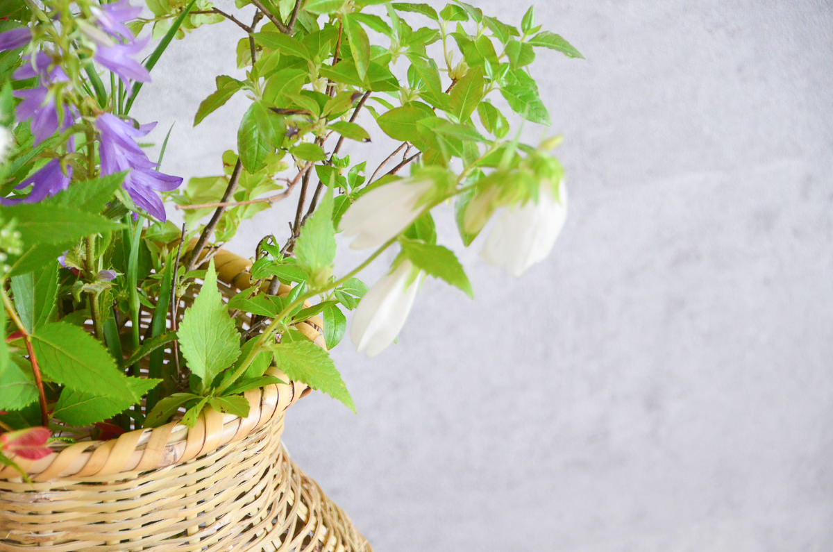 Fish Basket / Nemagari Bamboo / Nagano-JPN 610219