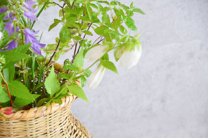 Fish Basket / Nemagari Bamboo / Nagano-JPN 610219