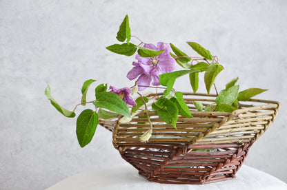 Willow branch-weave fruit basket with flowers arranged inside / やなぎの枝編み果物かごに花を生けた様子