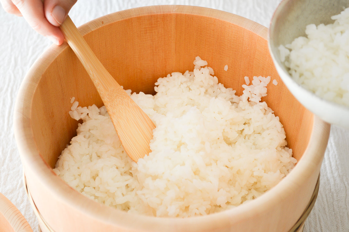 Moso bamboo rice scoop being used with cooked rice / 孟宗竹のしゃもじを使ってごはんをよそっている様子