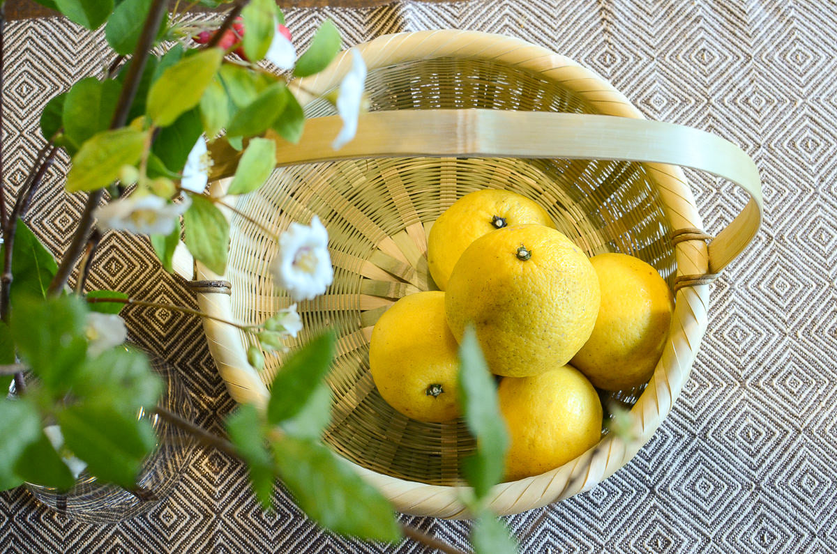 Fruit Basket with Handle / Madake Bamboo / Oita-JPN 110702-1
