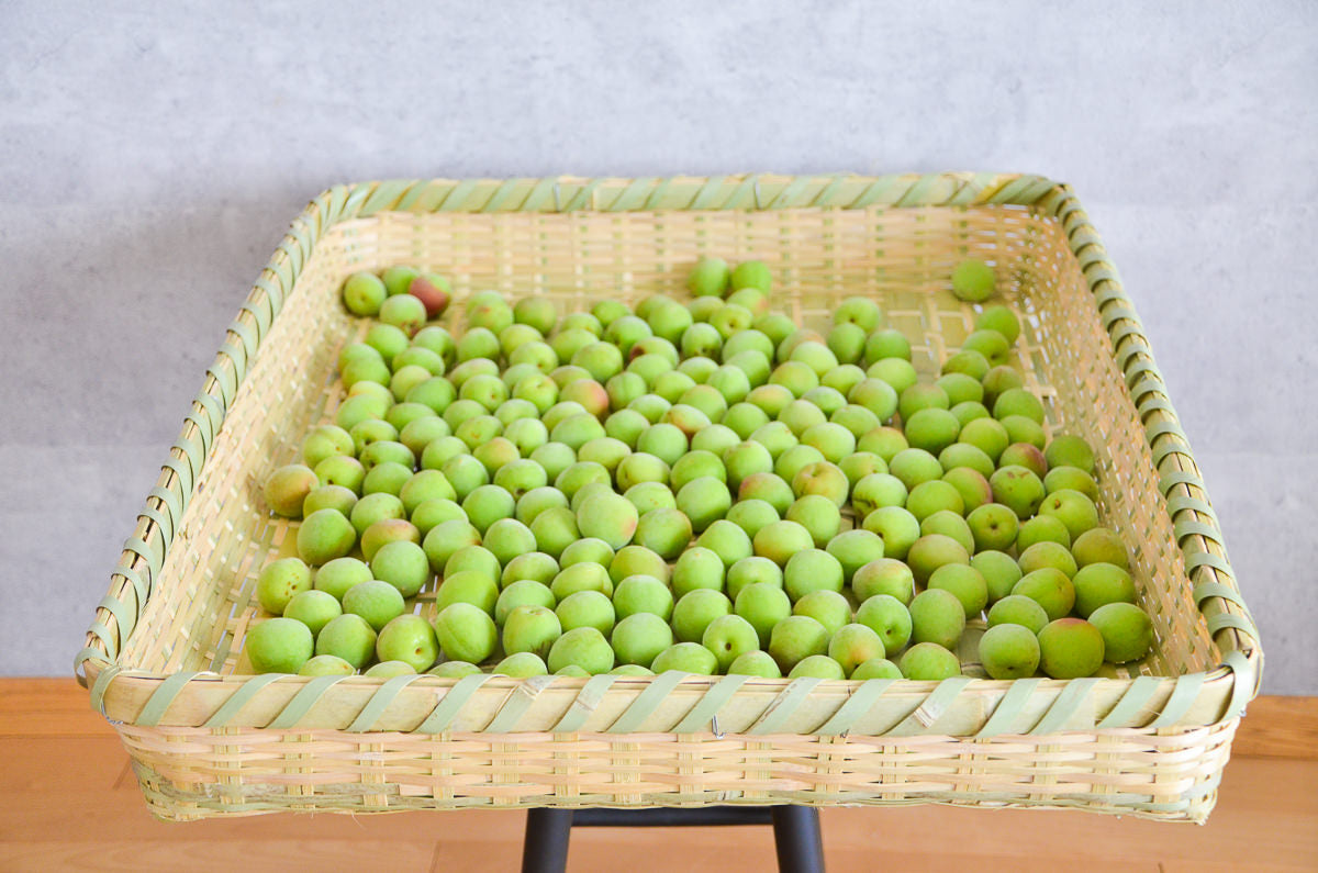 Green ume plums spread in a large rectangular bamboo drying basket / 大干しかごに青梅を広げて干している様子