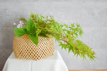 White bamboo storage basket in tessen weave with greenery / 白竹の鉄線編みの物入れかごに枝ものを生けた様子